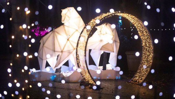 Light display at Bear Creek Park
